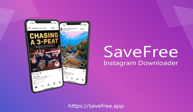 Save Insta Free